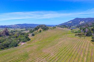 Agriculture,  Bennett Valley road, Santa Rosa, CA 95404 - 16