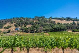 Agriculture,  Bennett Valley road, Santa Rosa, CA 95404 - 44