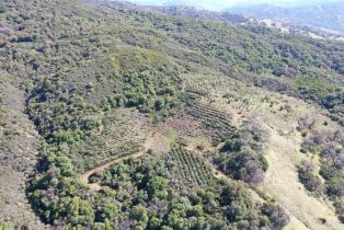 Single Family Residence, Pine Mountain road, Cloverdale, CA 95425 - 80