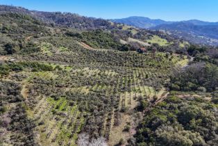 Single Family Residence, Pine Mountain road, Cloverdale, CA 95425 - 5