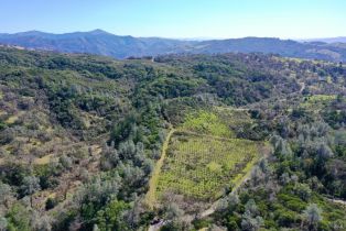 Single Family Residence, Pine Mountain road, Cloverdale, CA 95425 - 86