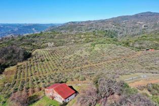 Single Family Residence, Pine Mountain road, Cloverdale, CA 95425 - 4