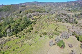 Single Family Residence, Pine Mountain road, Cloverdale, CA 95425 - 84