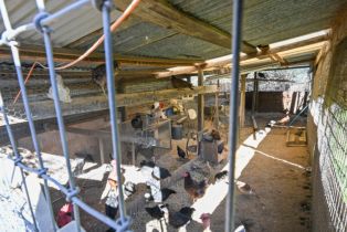 Single Family Residence, Pine Mountain road, Cloverdale, CA 95425 - 29