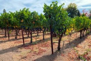 Single Family Residence,  Monticello road, Napa, CA 94558 - 68