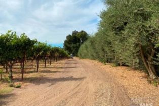 Single Family Residence,  Monticello road, Napa, CA 94558 - 65