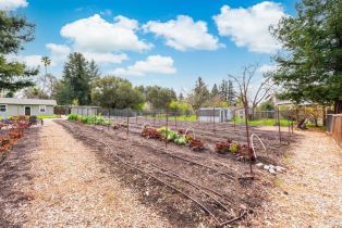 Single Family Residence,  Olive Hill lane, Napa, CA 94558 - 62