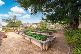 Single Family Residence,  Olive Hill lane, Napa, CA 94558 - 66