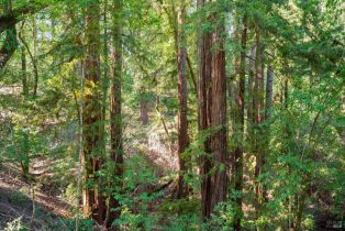 Residential Lot,  Canyon road, Russian River, CA 95436 - 8