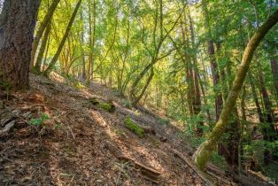 Residential Lot,  Canyon road, Russian River, CA 95436 - 9