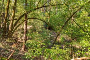 Residential Lot,  Canyon road, Russian River, CA 95436 - 12