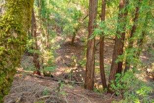 Residential Lot,  Canyon road, Russian River, CA 95436 - 10