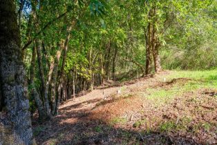 Residential Lot,  Canyon road, Russian River, CA 95436 - 4