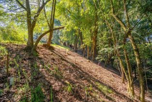 Residential Lot,  Canyon road, Russian River, CA 95436 - 5