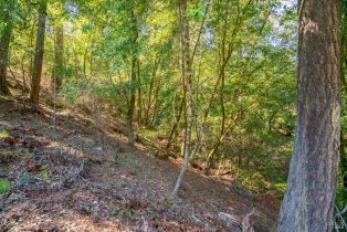 Residential Lot,  Canyon road, Russian River, CA 95436 - 3