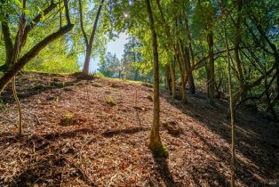 Residential Lot,  Canyon road, Russian River, CA 95436 - 7