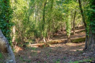 Residential Lot,  Woodside drive, Russian River, CA 95436 - 2