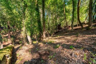 Residential Lot,  Woodside drive, Russian River, CA 95436 - 11