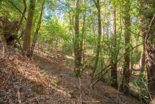 Residential Lot,  Woodside drive, Russian River, CA 95436 - 17