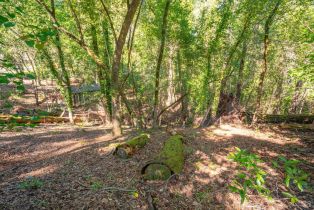 Residential Lot,  Woodside drive, Russian River, CA 95436 - 6
