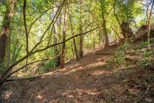 Residential Lot,  Woodside drive, Russian River, CA 95436 - 14