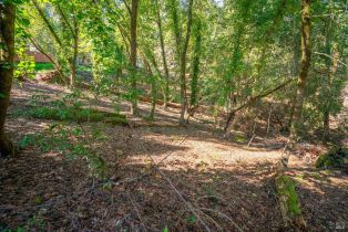 Residential Lot,  Woodside drive, Russian River, CA 95436 - 7