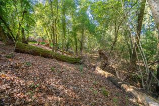 Residential Lot,  Woodside drive, Russian River, CA 95436 - 10