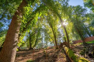 Residential Lot,  Woodside drive, Russian River, CA 95436 - 12