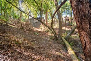 Residential Lot,  Woodside drive, Russian River, CA 95436 - 15