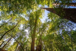 Residential Lot,  Woodside drive, Russian River, CA 95436 - 16