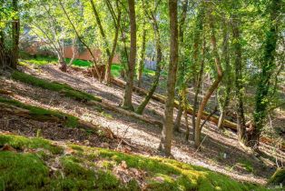 Residential Lot,  Woodside drive, Russian River, CA 95436 - 9