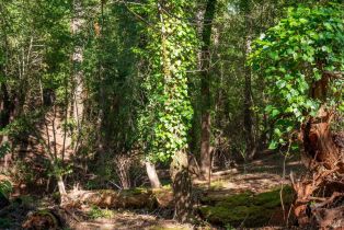 Residential Lot,  Woodside drive, Russian River, CA 95436 - 3