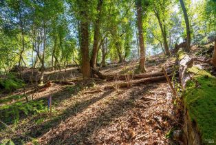 Residential Lot,  Woodside drive, Russian River, CA 95436 - 13