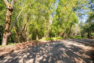 Residential Lot,  Woodside drive, Russian River, CA 95436 - 18