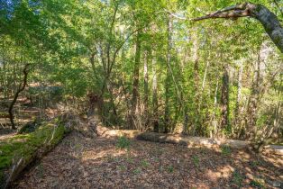 Residential Lot,  Woodside drive, Russian River, CA 95436 - 8