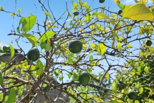 Single Family Residence,  Princeton drive, Sonoma, CA 95476 - 6