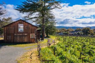 3+ Houses on Lot,  Silverado trail, Napa, CA 94558 - 36