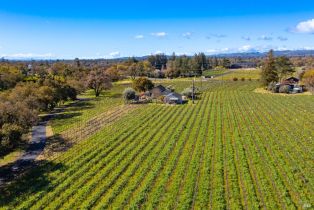 3+ Houses on Lot,  Silverado trail, Napa, CA 94558 - 37