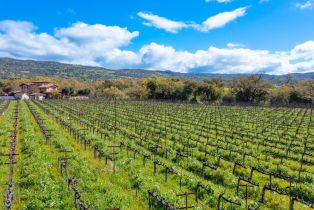 3+ Houses on Lot,  Silverado trail, Napa, CA 94558 - 40