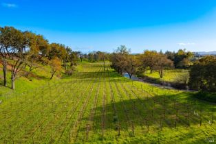 3+ Houses on Lot,  Silverado trail, Napa, CA 94558 - 42