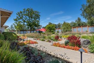 Single Family Residence,  Maddocks road, Sebastopol, CA 95472 - 17