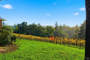 Single Family Residence,  Maddocks road, Sebastopol, CA 95472 - 10