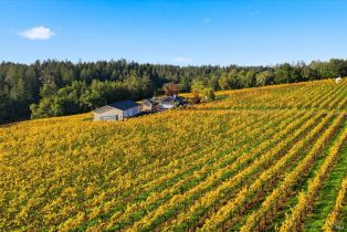 Single Family Residence,  Maddocks road, Sebastopol, CA 95472 - 5