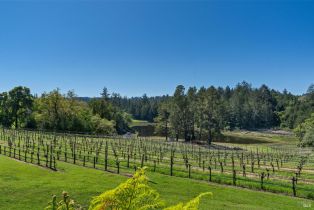 Single Family Residence,  Maddocks road, Sebastopol, CA 95472 - 45