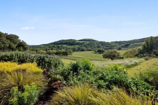 Single Family Residence,  Gehricke road, Sonoma, CA 95476 - 58