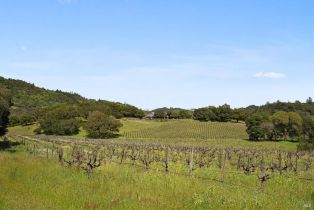 Single Family Residence,  Gehricke road, Sonoma, CA 95476 - 93
