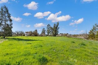 Single Family Residence,  Petaluma Hill road, Santa Rosa, CA 95404 - 8