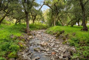 Single Family Residence, Wallace road, Santa Rosa, CA 95404 - 81