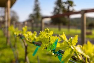 Single Family Residence, Wallace road, Santa Rosa, CA 95404 - 84