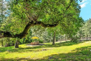 Single Family Residence,  Kortum Canyon road, Calistoga, CA 94515 - 71
